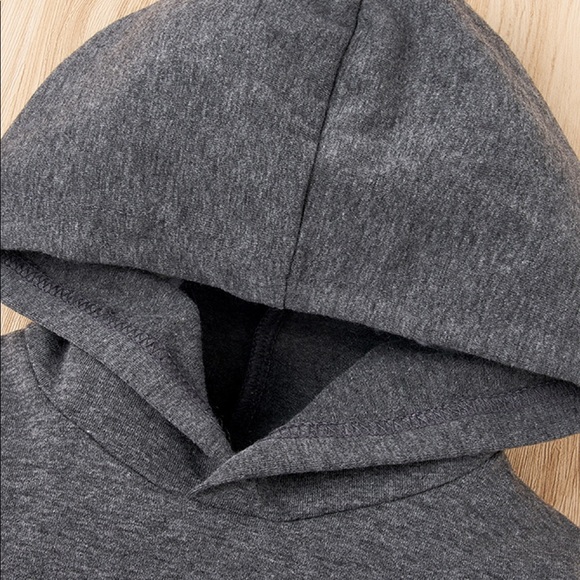 NWOT Baby Hoodie and DINO Roarr Pant Set.                 Size:9-12 M Color:Gray - Picture 6 of 7